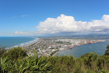 Fototapeta premium Tauranga