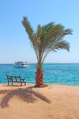 View of tropical island with palm trees and promenade ship on sea