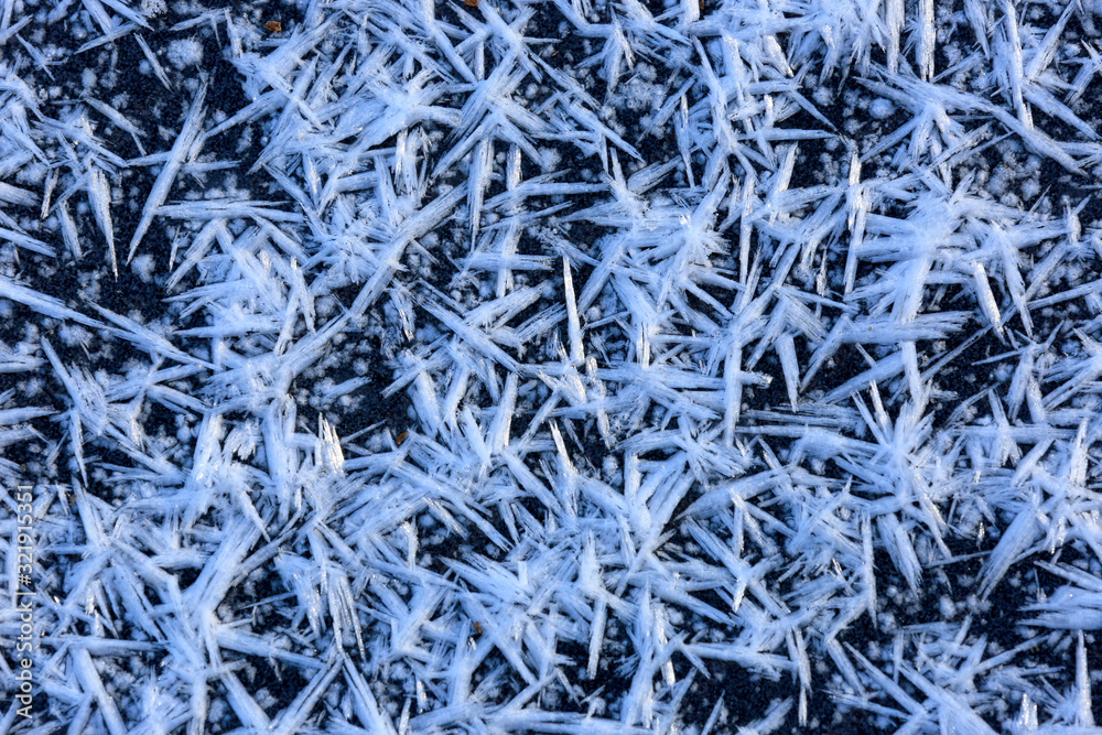 Wall mural frozen snow crystals on ice