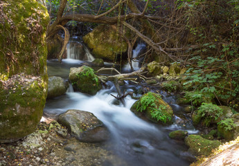 Sendero Rio Majaceite