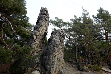 rock needle formation in the german harz mountains