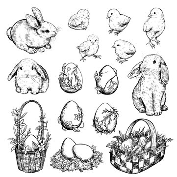 Collection of vector Easter illustrations. Set of rabbits, chickens, baskets, eggs, nest. Hand drawn ink sketches isolated on white. Elements for Easter holiday design, card, poster, print, wrapping.