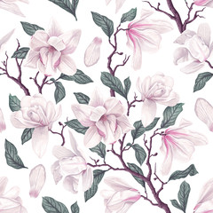Fototapety  Kwiatowy wzór z białych kwiatów magnolii anyżu, liści i płatków na białym tle. Pastelowy motyw vintage z realistycznymi, wektorowymi, wiosennymi kwiatami na tkaniny, nadruki, kartki okolicznościowe.
