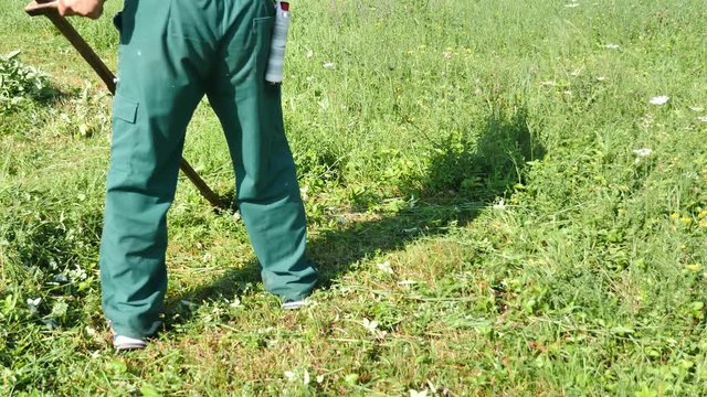 Footage of a farmer hand mowing the grass on a meadow with a scythe
