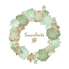 Wreath of succulents of different types on a white background, vector illustration