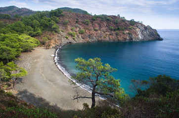 Mountain vegetation on the Mediterranean coast © Андрей Медведев