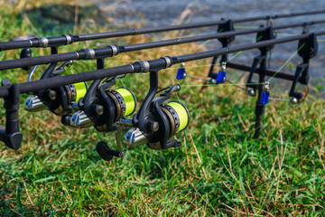 Carp spinning reel angling rods on pod standing. Carp Rods,Carpfishing session at the Lake.Professional fishing equipment