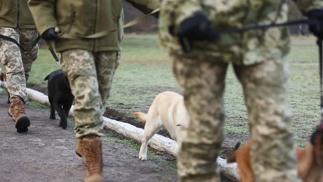 Military dog handlers with dogs are in formation. Training military camp. Dog Training Center. Soldiers go with dogs in ranks at military cynological exercises. Dog in army is walking near a soldier.