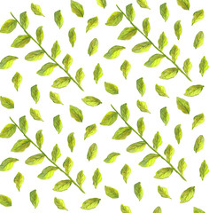 watercolor pattern with green leaves and branches
