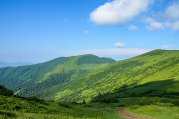 Green meadows and forests in summer Carpathian mountains, Ukraine