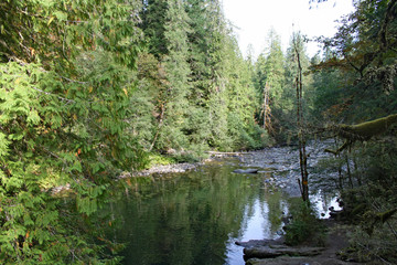 Englishman River (BC 00675)
