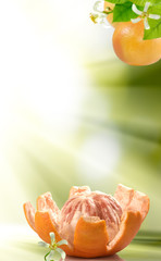 image of peeled grapefruit with a flower on a green blurred background