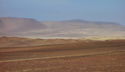 Fototapeta na wymiar colorful dunes in Paracas National Reserve. Arid touristic zone in the coast of Ica/Peru.