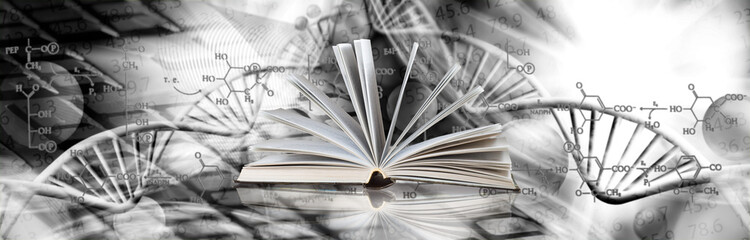 image of open book on  DNA genetic chain background