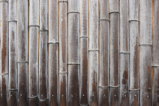 Bamboo fence texture background