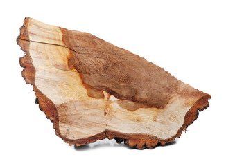 Oak stump, log fire wood isolated on white background 