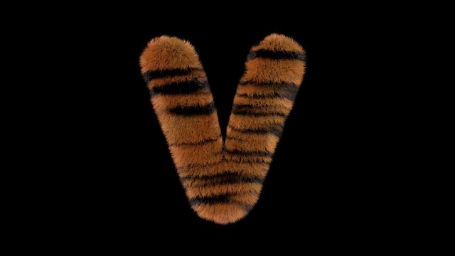 3d animated furry typeface with tiger hair and alpha channel   V