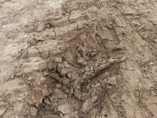 Tractor tracks in mud