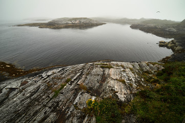 Norwegen Küste Nebel