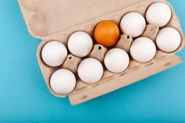 Egg Chicken eggs. Top view of an open gray box with white eggs Isolated on a blue background. One egg of a different color, a brown egg. The concept of focus, an outcast, not like everyone else, LGBT