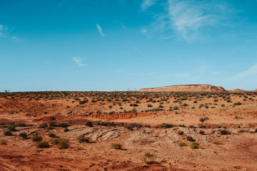 Arizona desert