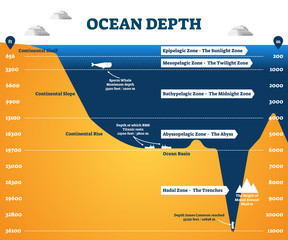 Ocean depth zones infographic, vector illustration labeled diagram © VectorMine