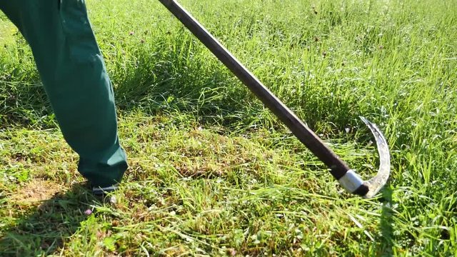 Slow motion footage of a farmer hand mowing the grass on a meadow with a scythe, the shot is moving along the person