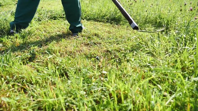 Slow motion footage of a farmer hand mowing the grass on a meadow with a scythe, the shot is moving