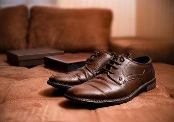 Brown man shoes on sofa