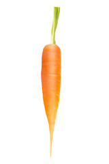 One whole fresh carrot on white background