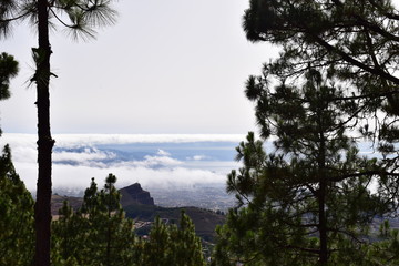 CIELO TENERIFE