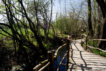 Spaziergang im Park