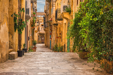 Valletta, Malta. Old medieval empty street with yellow buildings and flower pots - obrazy, fototapety, plakaty