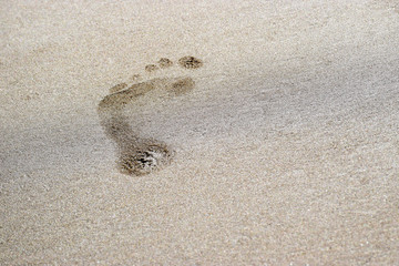 A lone footprint indented on the wet sand