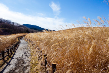 曽爾高原　イメージ