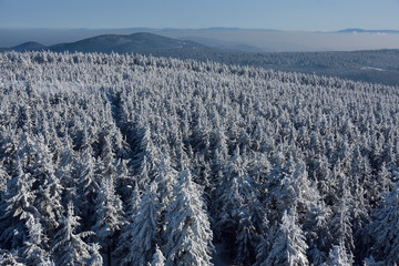 Panorama zimowa - Góry Sowie