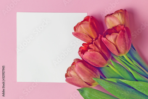 Mother's day background.Beautiful red tulips, multi-colored ribbons next to a sheet of white paper for text on a pink background. Save the space, top view. Greeting card for Women's Day, March 8