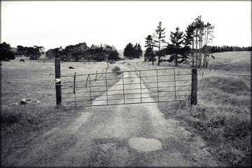 Black and white image of a farm gate with the lane stretching into the distance across a field