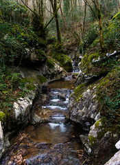 Naklejka na ściany i meble natural environment in Etxalar, Navarra small waterfall in beautiful natural landscape with lots of vegetation