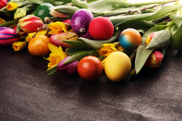blooming daffodils and easter eggs for spring decoration