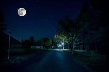 Long exposure shot. Mountain Road through the forest on a full moon night. Scenic night landscape...