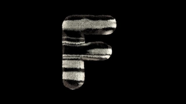 3D animated furry hairy zoo leopard text typeface with alpha channel  F