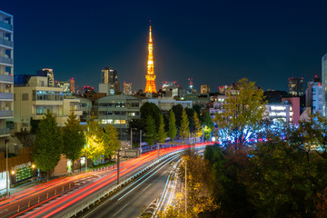 Japan. Tokyo in the evening. Panorama of Tokyo from a height. A desert road, the house and the TV tower. Minato TV tower with evening lighting. Evening in the Japanese capital. Travel to Japan.