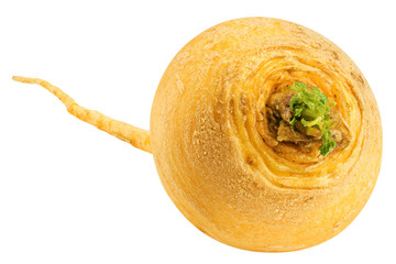 yellow turnip, isolated on white background, clipping path, full depth of field