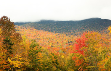 Overlooking of Beautiful Autumn Foliage at Stowe, Vermont, USA