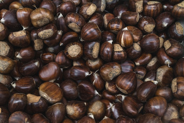 Raw chestnuts close up background. Food Background