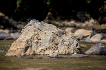 Fototapeta na wymiar Close-up photography of river rocks captured at the Moniquira river in the department of Boyaca in the central Andean mountains of Colombia