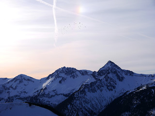 Tannheimer Tal, Österreich: In der Abenddämmerung fliegt ein Schwarm Dohlen über den Alpen