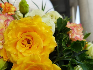 bouquet of yellow roses