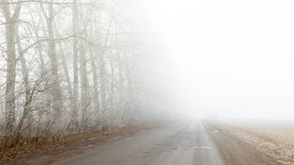 Autumn road in the fog. Limited visibility.